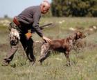 Avcı köpeği ile avcılık